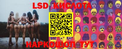 спиды Волгодонск