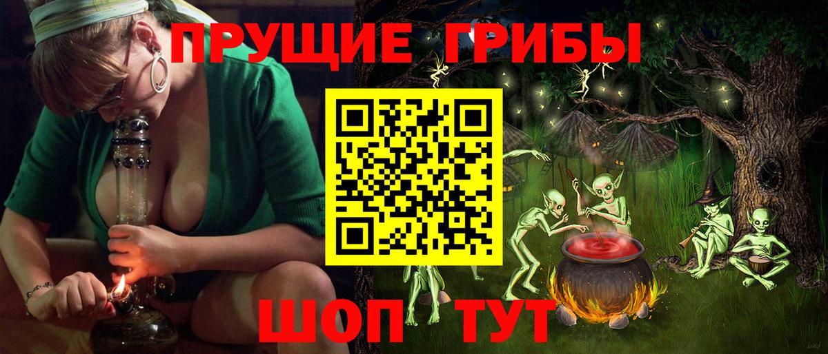 Псилоцибиновые грибы Psilocybine cubensis  Вход с VPN  где найти   Бахчисарай 