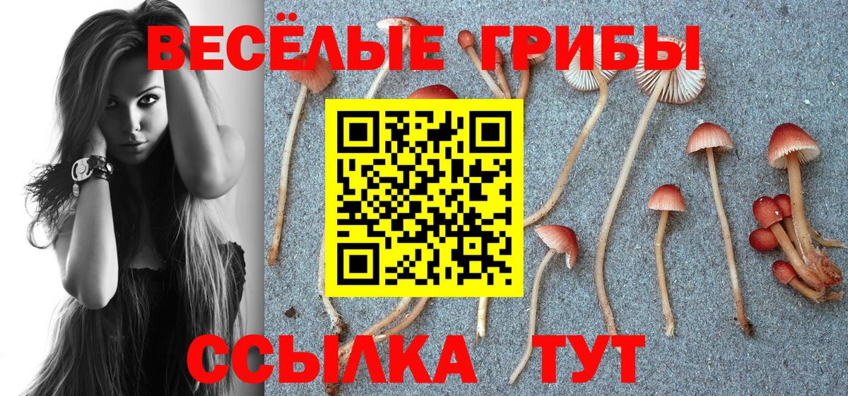Галлюциногенные грибы Magic Shrooms Бахчисарай